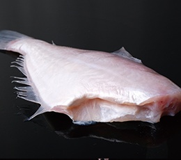 馬面魚